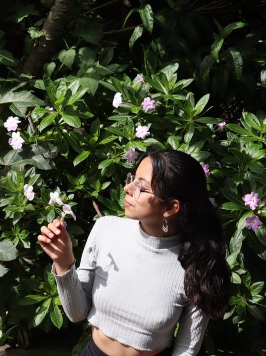 Aura Lucia Niño Torres